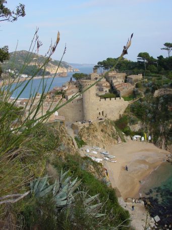 torre_del_museu_sobre_es_codolar